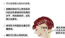 爱婴医院宣传口号