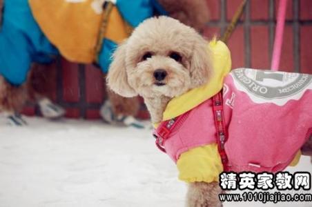 寓言演说