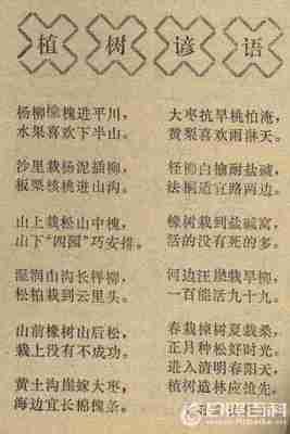 描述奇妙的寓言谚语