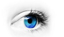 小说中描写眼睛的句子