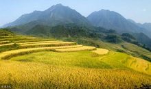 如何种好庄稼的谚语