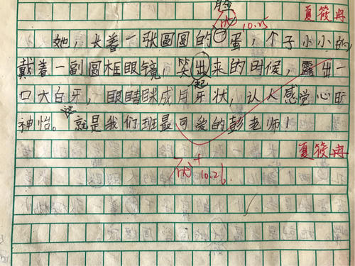 我老师的容貌描述