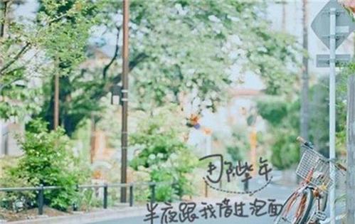 青春小姐小姐