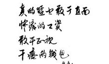 有道理谚语大全