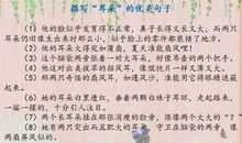 写老师外貌的句子