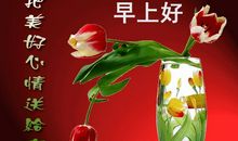 心情祝福语大全