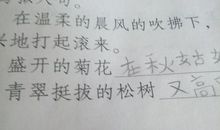 初中优秀拟人句