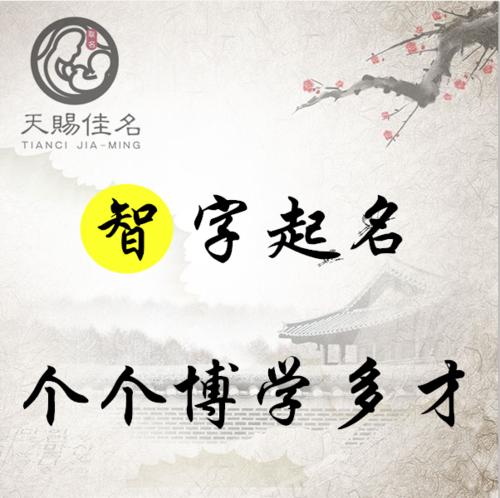机智的句子