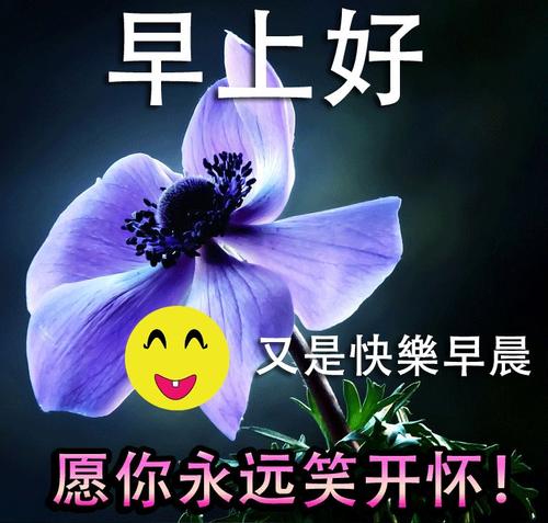 客户的问候和关怀的话