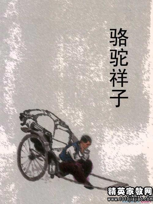 祥子骆驼经典语录