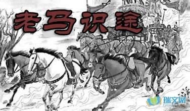 谚语与马