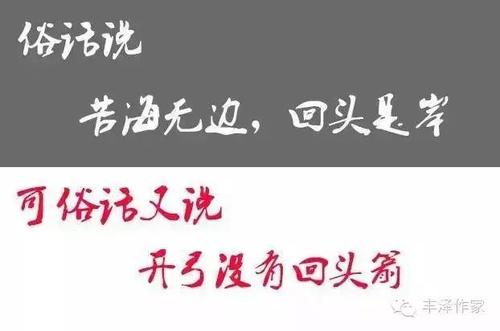 骆驼的谚语
