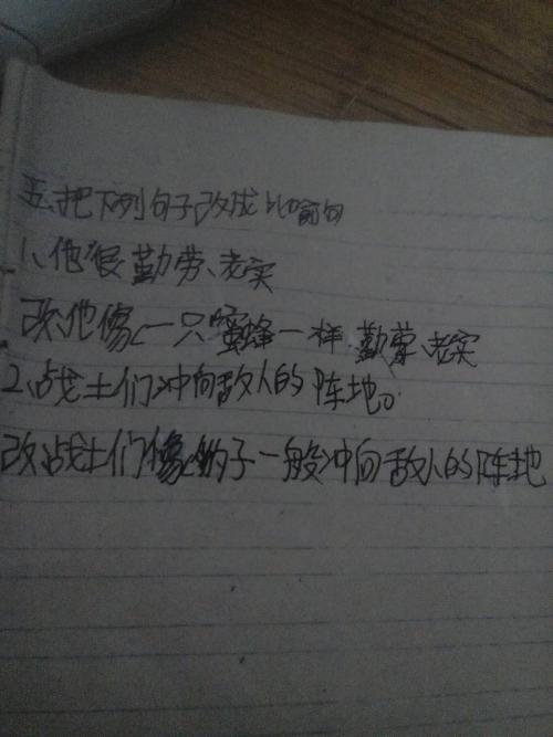 尊严隐喻