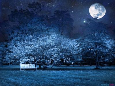 谈论寂寞的夜晚