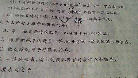 选定隐喻的集合