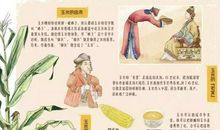 关于农耕的谚语