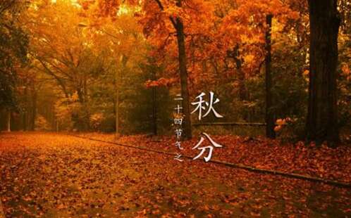 秋分谚语
