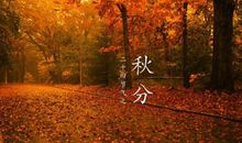 秋分谚语