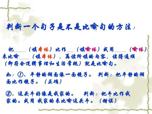 信仰的隐喻