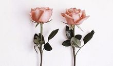 励志句子发朋友圈