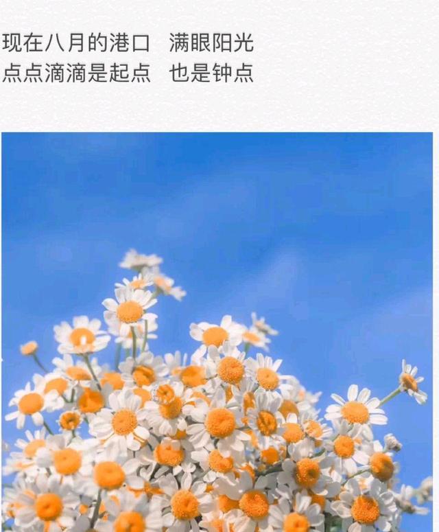 八月奖励信息