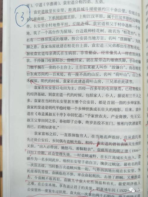 专业版