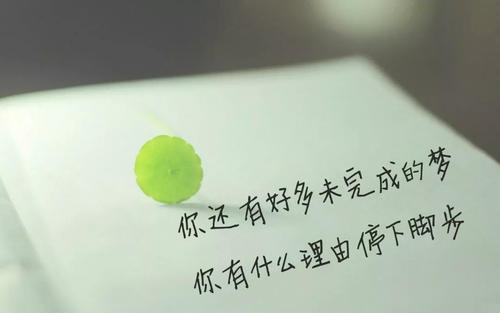 颤音鼓舞人心的句子