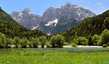 写田园风光的诗句