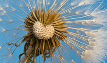 空间说说伤感的句子，伤感的句子说说心情图片