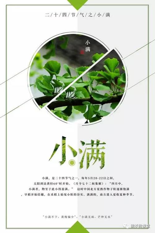 小矮人的谚语