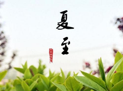 夏至谚语