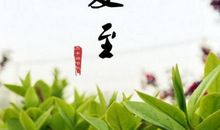 夏至节气的谚语