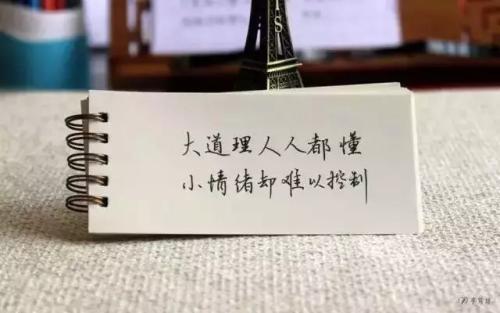 豆阴的搞笑句子