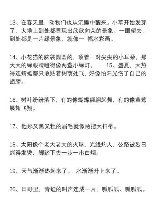 用好的单词和句子来形容老师
