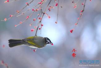 小寒谚语