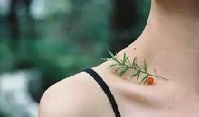 人生短暂,别太计较,随别人怎样理解