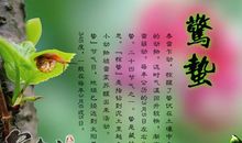 有科学道理的饮食谚语