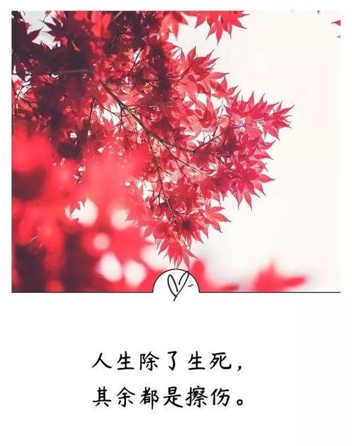 佛教座右铭