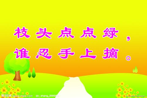 关于树木的环境口号