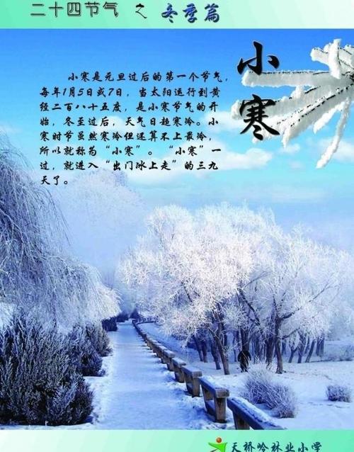关于小寒的箴言