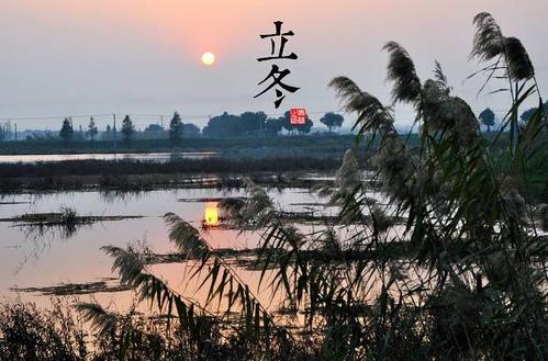 反映物候现象的谚语