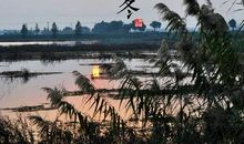 反映物候现象的谚语