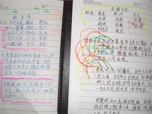 拟人化句子的精彩摘录
