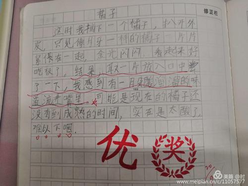 用石榴写隐喻