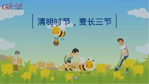 清明节谚语
