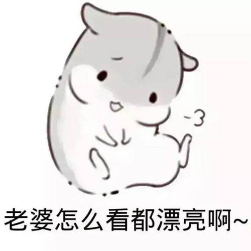 幸福的妻子短信