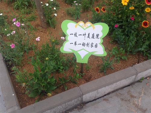 花坛环保口号