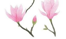 个签抖音古风句子