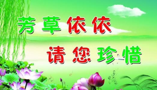 英文环保口号