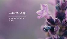 朋友圈里发说说感情